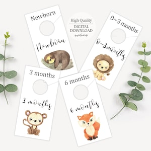 Safari Baby Closet Dividers, Newborn baby gift Closet Dividers, Printable  Baby Closet Dividers, Nursery closet, Baby Shower Gift, SC01