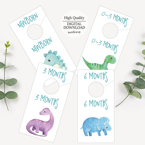 Dinosaur Baby Closet Dividers, Newborn baby gift Closet Dividers, Printable  Baby Closet Dividers, Dinosaur Nursery closet organizers, DC01