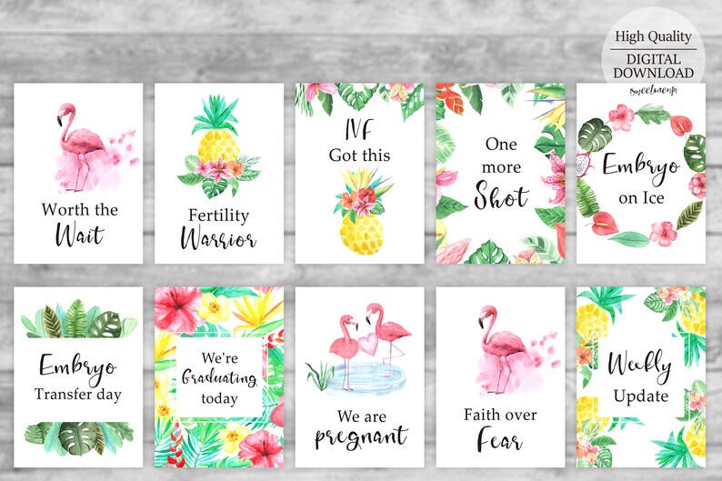 Pineapple IVF Milestone Cards IVF Gifts the Wish Gifts Ivf Etsy