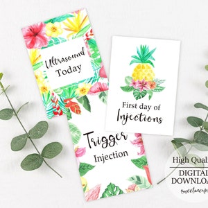 Cartes d'étape de FIV d'ananas, cadeaux de FIV, cadeaux de souhait, voyage de FIV, cartes numériques de FIV 5x7, infertilité, cadeaux de fertilité téléchargeables