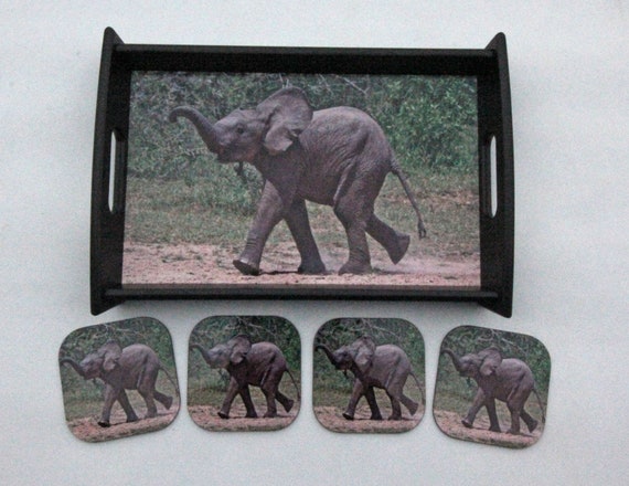 small baby elephant tray small baby elephant tray