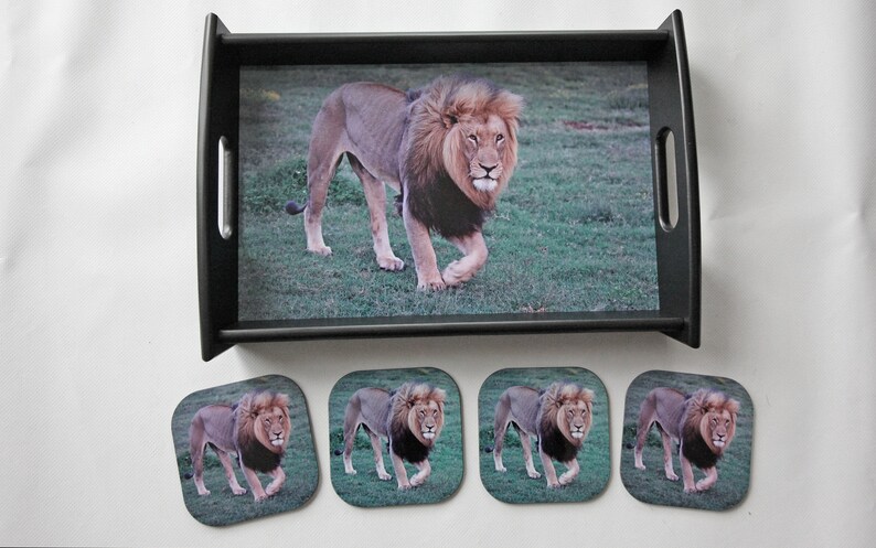 Serving Tray: Black maned Lion Tray and Coaster Set image 1