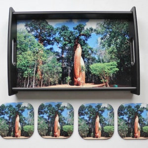 Baobab Tree Tray and Coaster Set