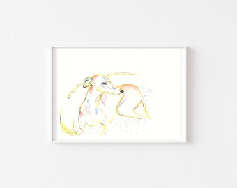 Whippet/greyhound line study of long dog sunbathing  A4 Print