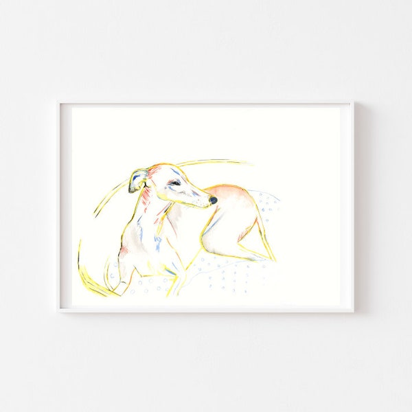 Whippet/greyhound line study of long dog sunbathing  A4 Print