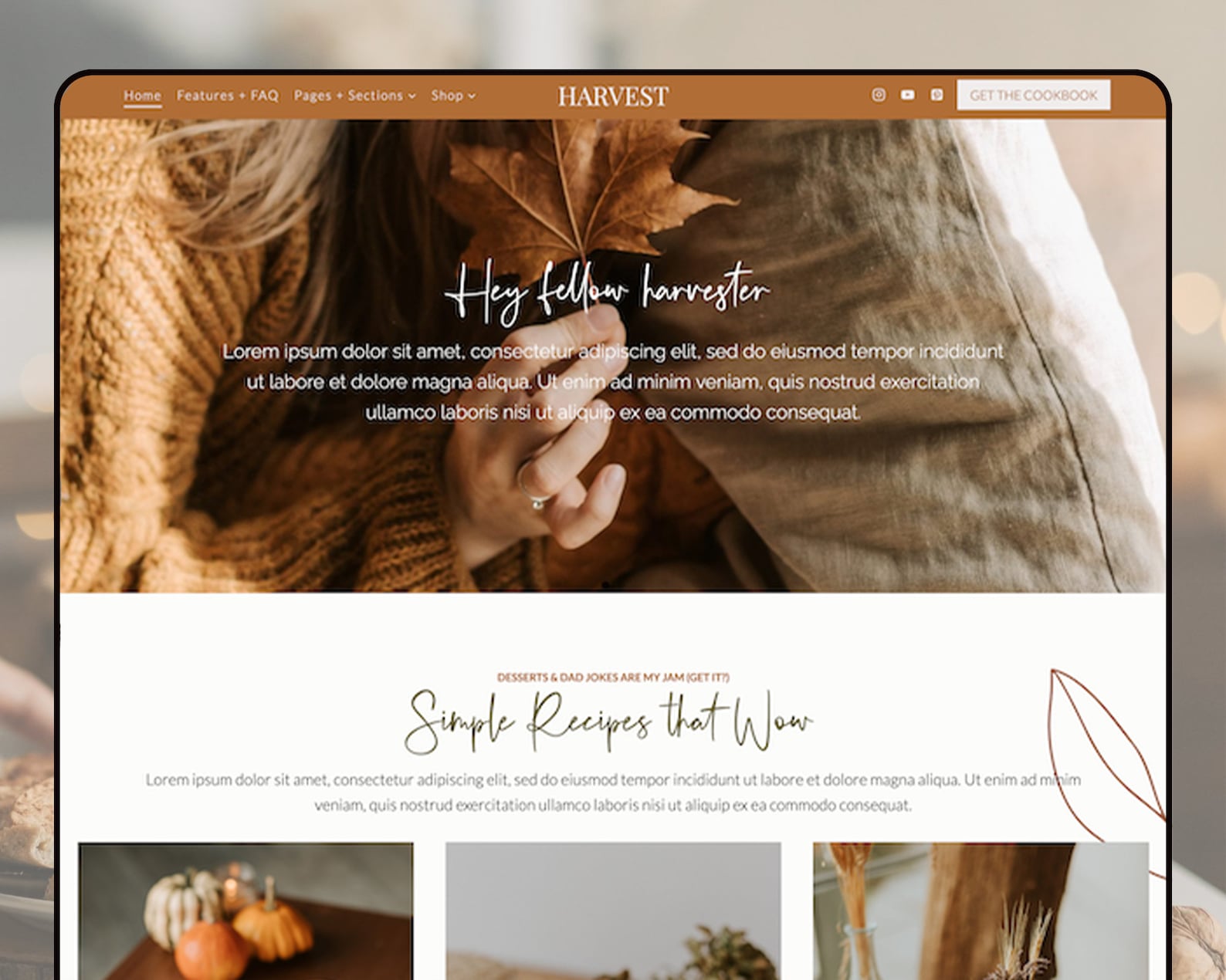 Boho Wordpress Theme | Wordpress Food, Blog, Shop Theme | Wordpress ...