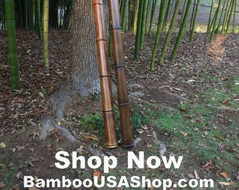Bamboo Poles - 4.0 inch Diameter - Lot of (2) Giant Flamed Bamboo Poles (4" dia x 1'-7' length) - bamboousashop.com