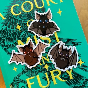 Bat Boys Vinyl Stickers | Acotar Stickers | Azriel Sticker | Rhysand Sticker | Cassian Sticker | Kindle Stickers | Book Sticker
