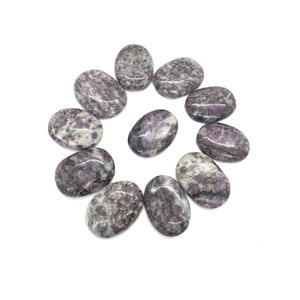 Garnet Matrix Palm Stone / Worry Stone / Palmstone / Small Crystal