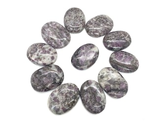 Garnet Matrix Palm Stone / Worry Stone / Palmstone / Small Crystal