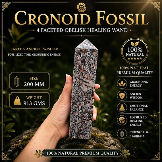 Natural Crinoid Fossil 4 Faceted Obelisk Healing Wand | Genuine Fossil Crystal Point | Reiki Crystal | Spiritual Home Decor | Fossil Gift