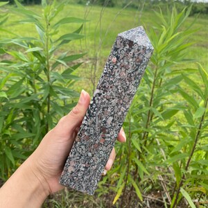May include: A large, dark gray, pink, and white crystal point with a rough, textured surface. The crystal is made of fossilized coral and has a unique, organic look.