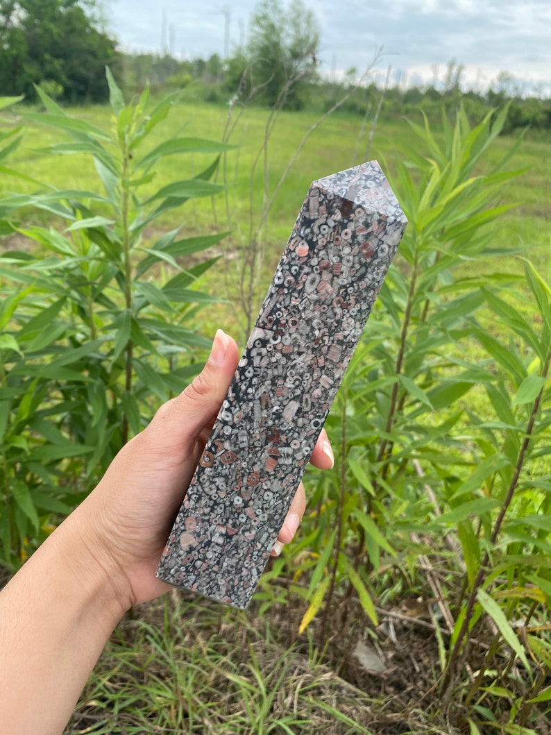 May include: A large, dark gray, pink, and white crystal point with a rough, textured surface. The crystal is made of fossilized coral and has a unique, organic look.