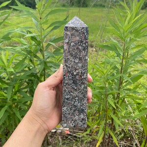 May include: A tall, pointed, gray, pink, and white crystal with a rough, textured surface. The crystal is made of fossilized seashells.