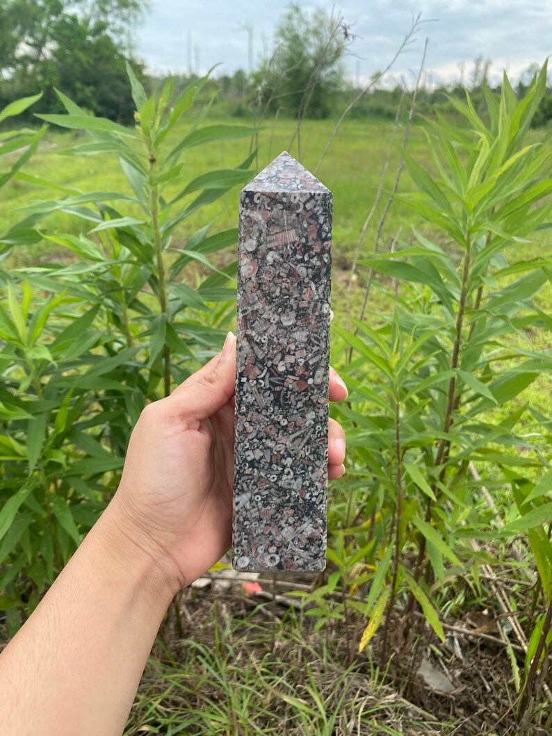 May include: A tall, pointed, gray, pink, and white crystal with a rough, textured surface. The crystal is made of fossilized seashells.