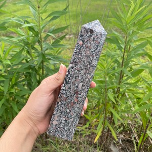 May include: A tall, pointed, gray and white crystal with a unique, speckled pattern. The crystal is made of fossilized coral and has a natural, organic look.