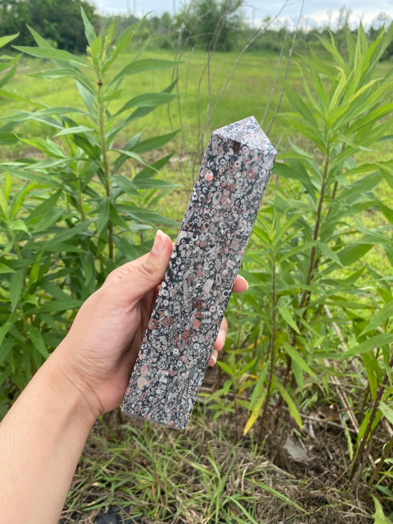 May include: A tall, pointed, gray and white crystal with a unique, speckled pattern. The crystal is made of fossilized coral and has a natural, organic look.