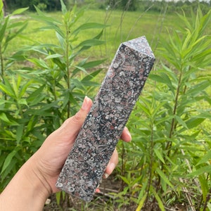 May include: A gray, pink, and white fossilized stone point, also known as a crystal, with a pointed top and a flat base. The stone is held in a hand.