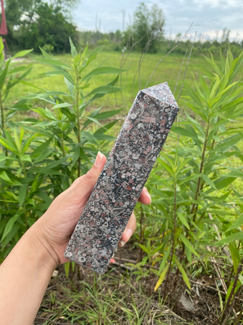 May include: A gray, pink, and white fossilized stone point, also known as a crystal, with a pointed top and a flat base. The stone is held in a hand.
