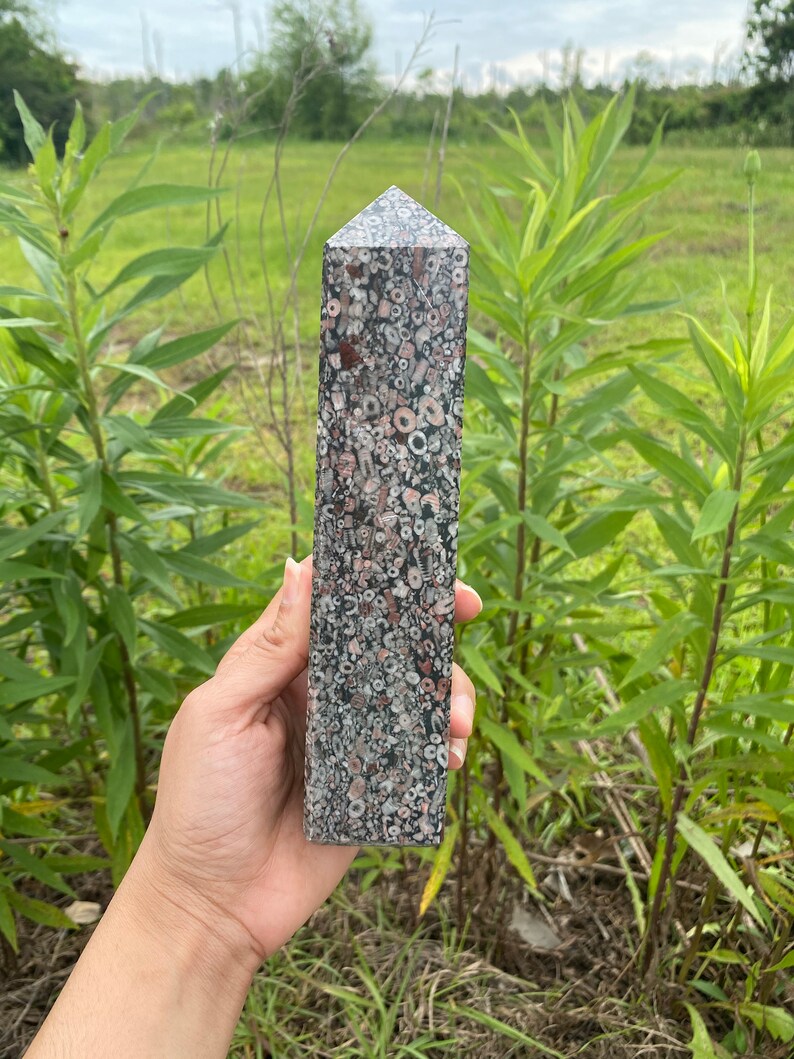 May include: A gray, white, and pink fossilized coral point with a pointed top. The point is about 5 inches tall and is made of natural stone.