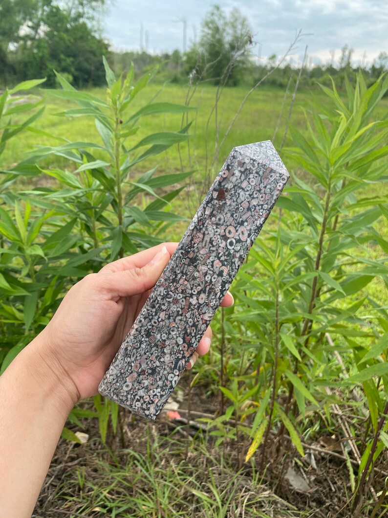 May include: A gray, pink, and white fossilized stone point with a pointed tip. The stone has a speckled pattern and is about 6 inches long.