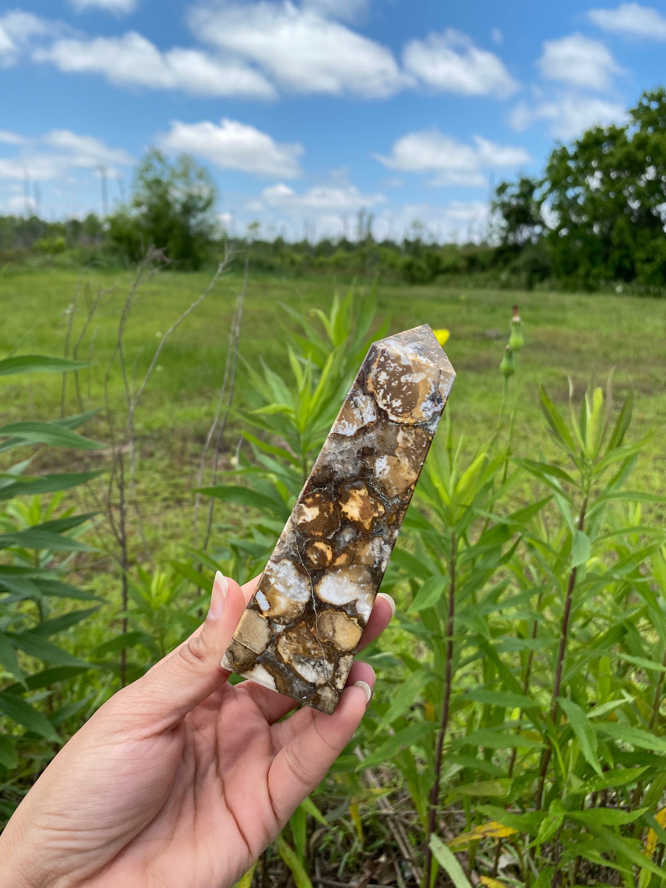 Natural 4 Faceted King Cobra Jasper 130MM Reiki Healing Etsy