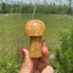 Mushroom Golden Quartz Gemstone Crystal Carving Figurines , Mushroom Healing Crystals, Natural Stone Hand Carved Mushroom Shaped