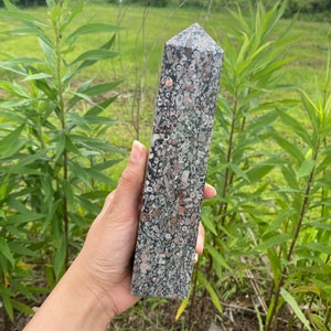 May include: A tall, pointed, gray and brown crystal with a unique speckled pattern. The crystal is made of fossilized coral and is a popular choice for crystal healing.