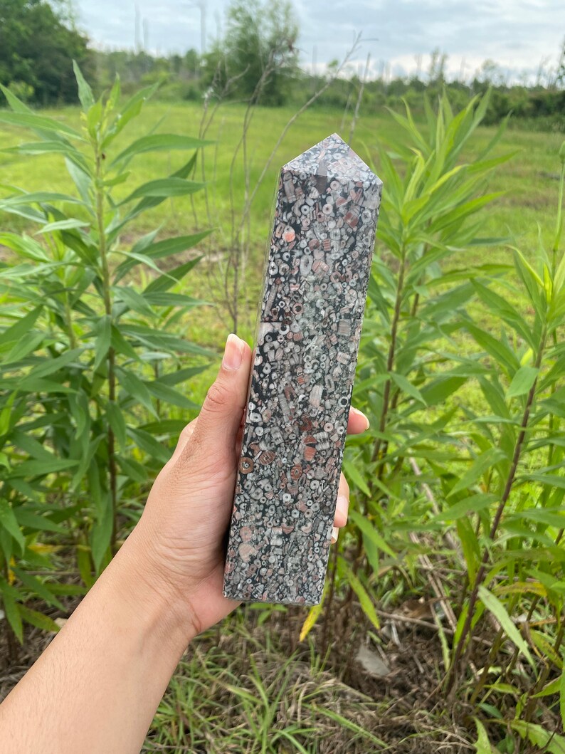 May include: A tall, pointed, gray and brown crystal with a unique speckled pattern. The crystal is made of fossilized coral and is a popular choice for crystal healing.
