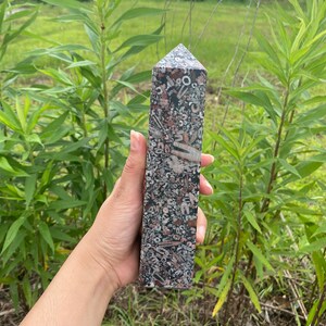 May include: A tall, pointed, dark gray and pink crystal with a rough, textured surface. The crystal is made of fossilized coral and is approximately 6 inches tall.