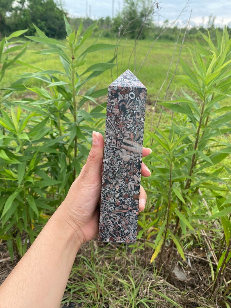 May include: A tall, pointed, dark gray and pink crystal with a rough, textured surface. The crystal is made of fossilized coral and is approximately 6 inches tall.