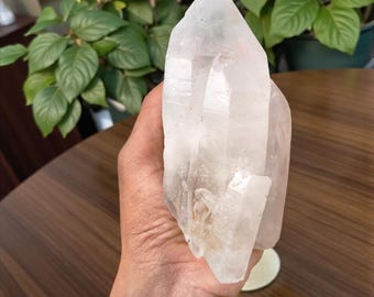 Quartz tibétain de l'Himalaya, pointe de cristal en grappes transparentes avec chlorite, gros cristal de graine de lémurien, pointe de quartz en cristal, baguette de guérison naturelle