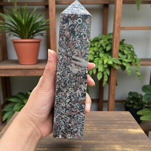 Natural Crinoid Fossil 4 Faceted Obelisk Healing Wand | Genuine Fossil Crystal Point | Reiki Crystal | Spiritual Home Decor | Fossil Gift image 2