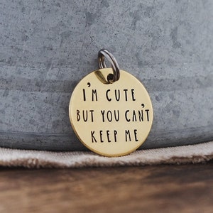 Brass Personalised Dog ID Tag I'm Cute But You Can't Keep Me