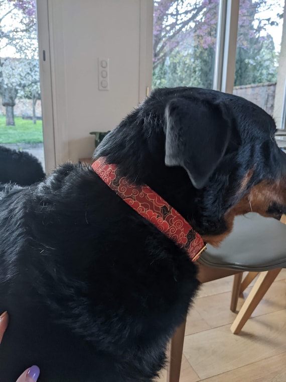 Authentic Louis Vuitton dog collar from japan