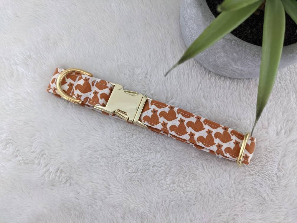 Collier Pour Chien Écureuil Original ou Collier Chat Anti-Étranglement Fabrication Artisanale França