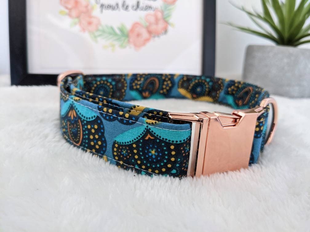 Collier et Laisse Pour Chien Bleu Turquoise Vert Original ou Collier Chat Anti-Étranglement Fait Mai