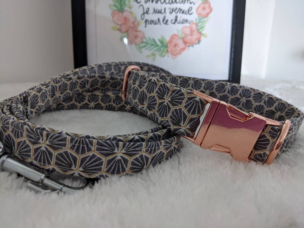 Ensemble Laisse et Collier Pour Chien Original ou Chat en Sangle Coton Oeko-Tex Gris Ardoise, Réglab