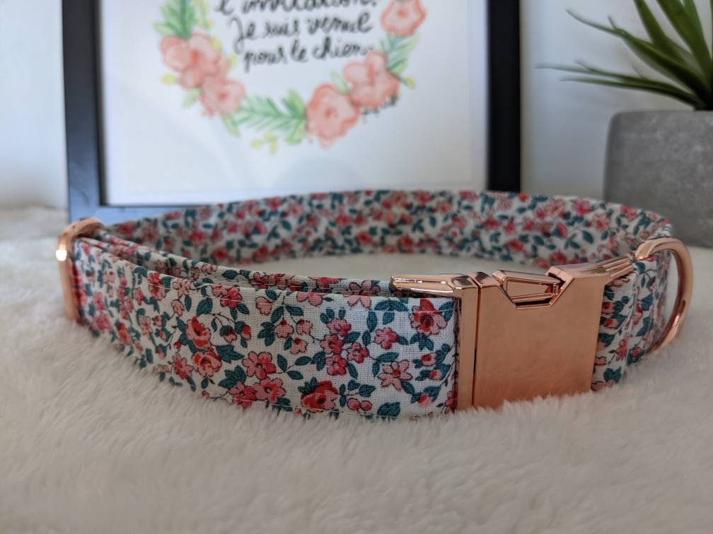 Laisse et Collier Pour Chien Original Liberty Rose ou Chat Anti-Étranglement Marque Éthique Créateur