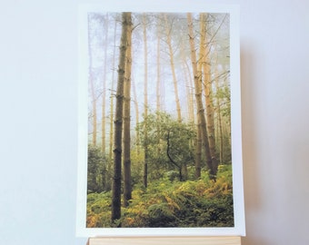 Impresión fotográfica tomada en The Outwoods, Leicestershire