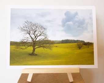 Paisaje tomado en Derbyshire