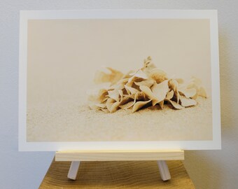 Fotografía de Seaweed On Anderby Creek