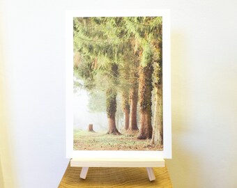 Impresión fotográfica tomada en el embalse de Thornton