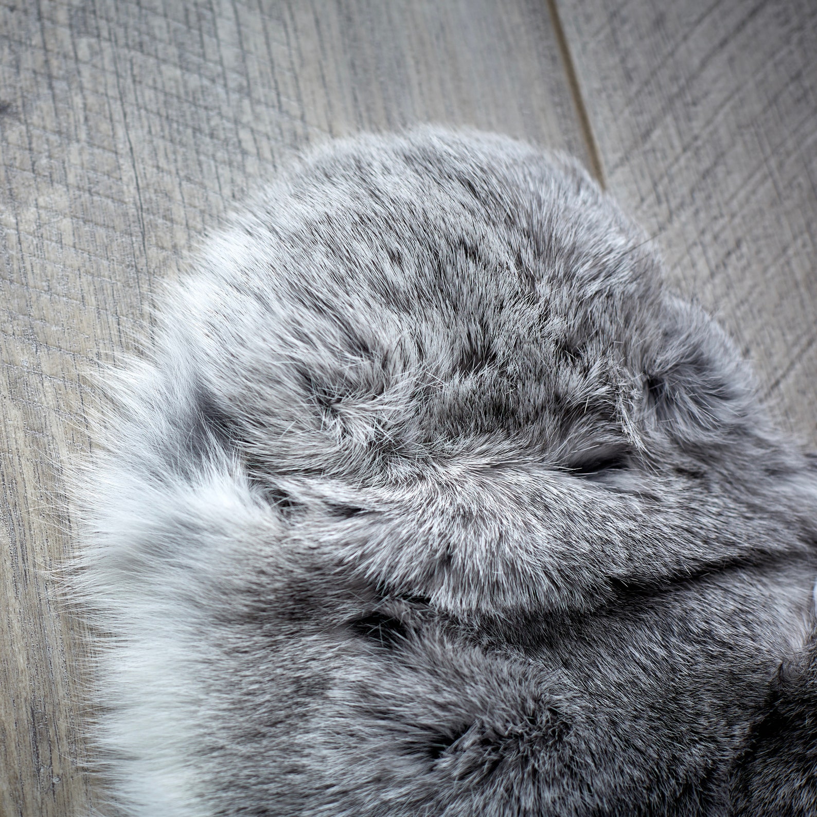 Real rabbit fur rug for newborn photography prop Rabbit fur Etsy