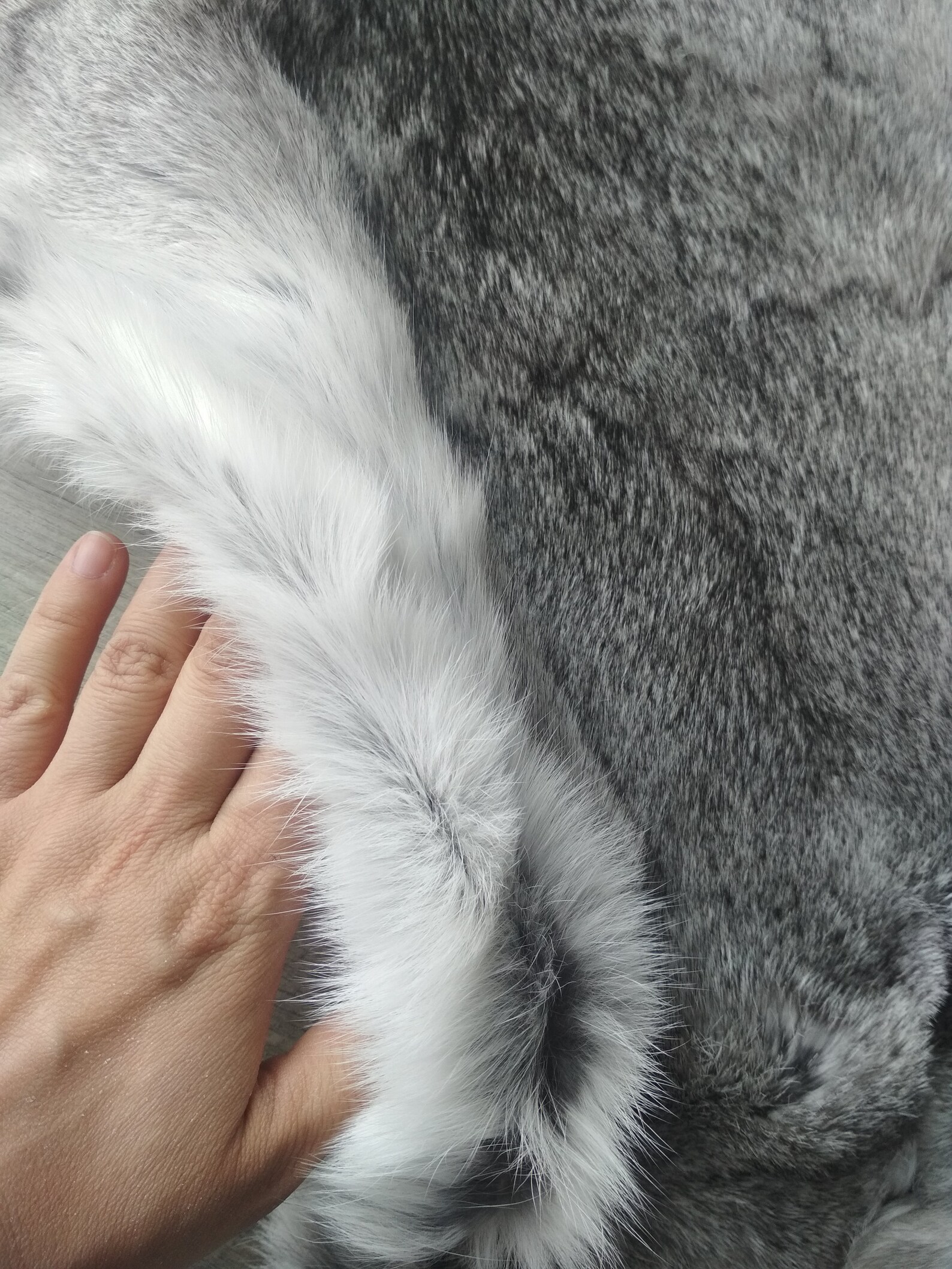 Real rabbit fur rug for newborn photography prop Rabbit fur Etsy