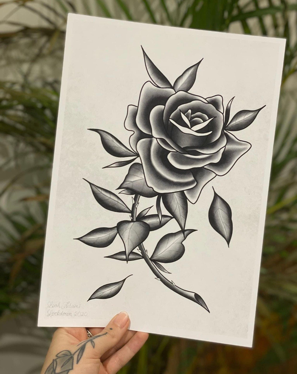 Traditional Rose Black And Grey