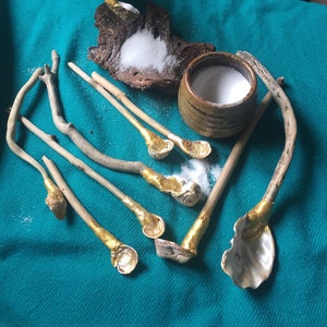 May include: A set of seven wooden spoons with gold leaf accents and seashell bowls. The spoons are arranged on a teal surface with a small bowl of salt and a piece of driftwood with salt on it.