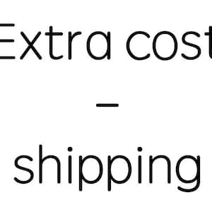 Extra cost（Customization fee supplement）