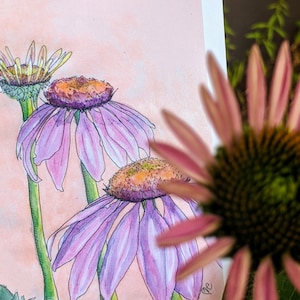 Carte de voeux pourpre de Coneflower