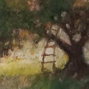 Old apple tree with rustic ladder.